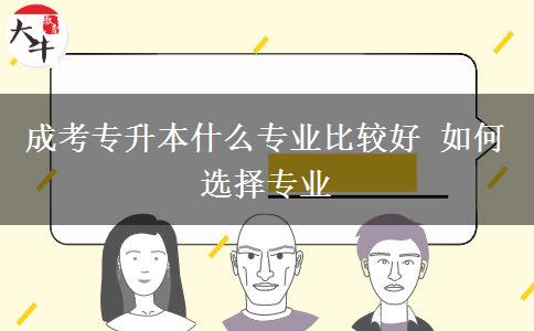成考專(zhuān)升本什么專(zhuān)業(yè)比較好 如何選擇專(zhuān)業(yè)