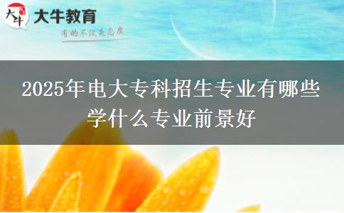2025年電大專科招生專業(yè)有哪些 學什么專業(yè)前景好