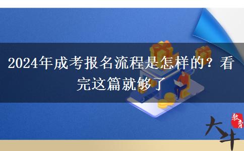 2024年成考報名流程是怎樣的？看完這篇就夠了