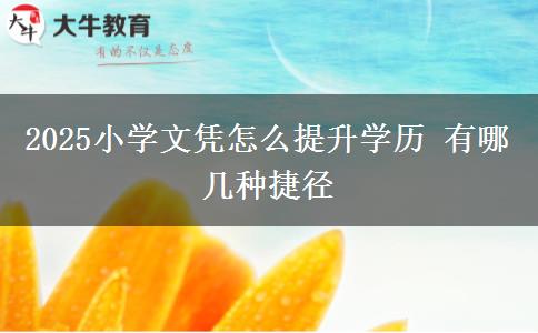 2025小學文憑怎么提升學歷 有哪幾種捷徑