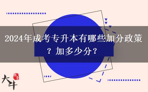 2024年成考專升本有哪些加分政策？加多少分？