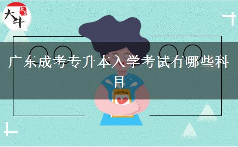 廣東成考專升本入學考試有哪些科目