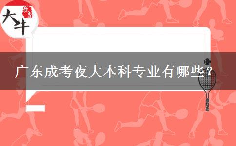 廣東成考夜大本科專業(yè)有哪些？