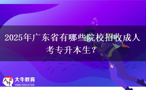 2025年廣東省有哪些院校招收成人考專升本生？