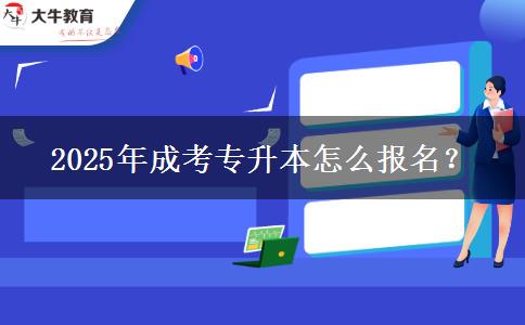 2025年成考專升本怎么報(bào)名？