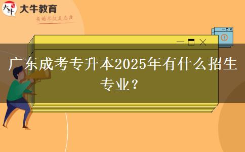 廣東成考專升本2025年有什么招生專業(yè)？