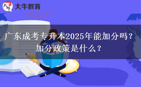 廣東成考專(zhuān)升本2025年能加分嗎？加分政策是什么？