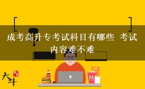 成考高升?？荚嚳颇坑心男?考試內(nèi)容難不難