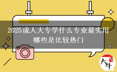 2025成人大專(zhuān)學(xué)什么專(zhuān)業(yè)最實(shí)用 哪些是比較熱門(mén)