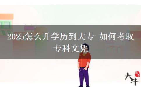 2025怎么升學(xué)歷到大專 如何考取?？莆膽{
