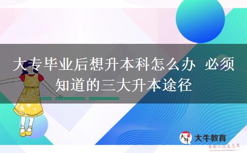 大專(zhuān)畢業(yè)后想升本科怎么辦 必須知道的三大升本途徑