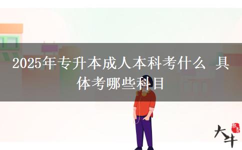 2025年專(zhuān)升本成人本科考什么 具體考哪些科目