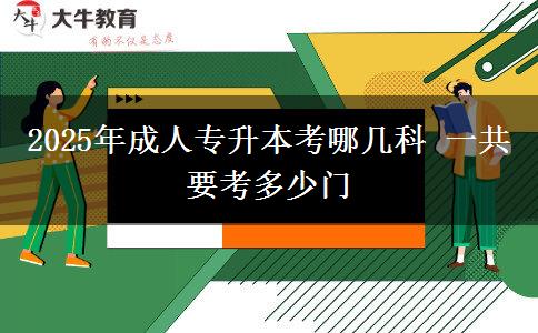 2025年成人專升本考哪幾科 一共要考多少門