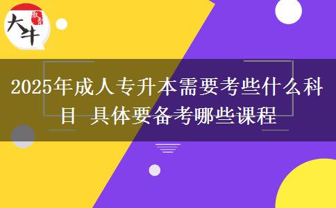 2025年成人專升本需要考些什么科目 具體要備考哪些課程