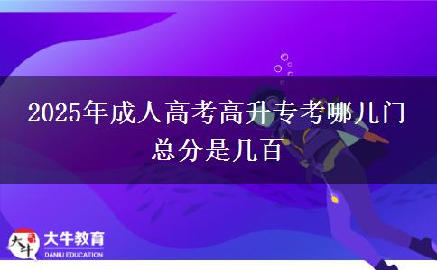 2025年成人高考高升?？寄膸组T 總分是幾百