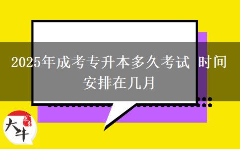 2025年成考專升本多久考試 時(shí)間安排在幾月