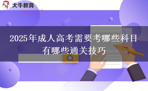 2025年成人高考需要考哪些科目 有哪些通關(guān)技巧