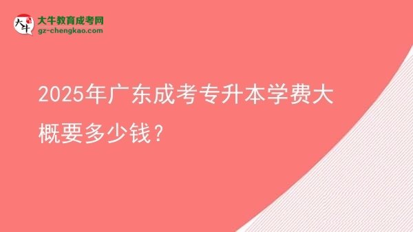 2025年廣東成考專升本學(xué)費(fèi)大概要多少錢？圖片