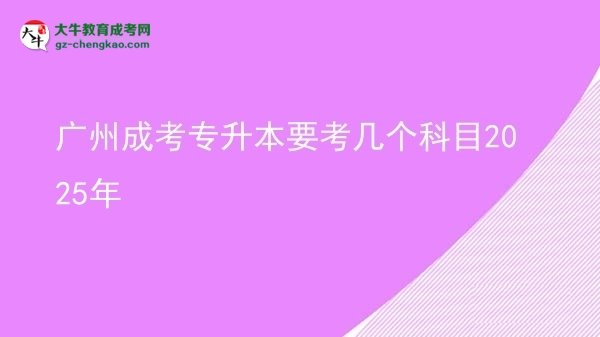 廣州成考專升本要考幾個科目2025年圖片